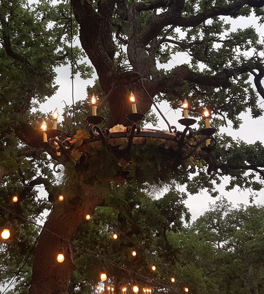 Wrought Iron Chandelier Hung in Trees with Flower Accents