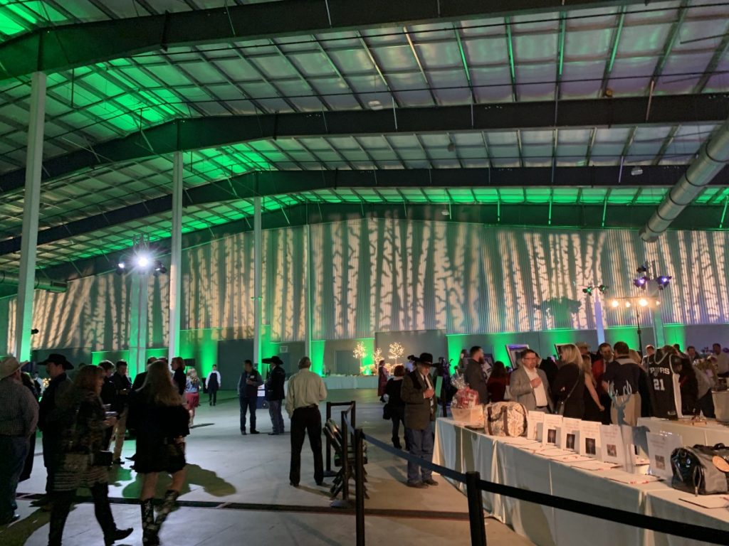 Themed Gobo Lighting