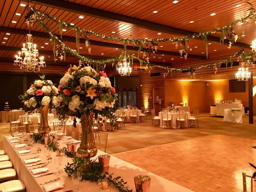 Uplighting, Chandeliers, &amp; Twinkle Lighting