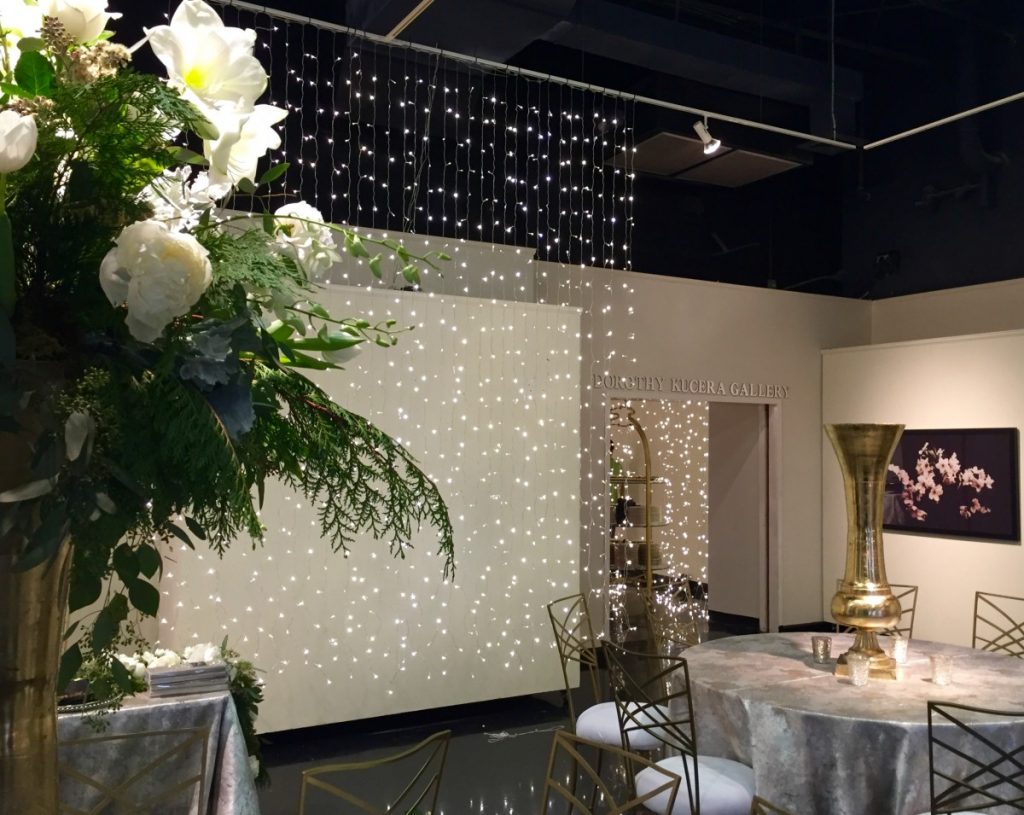 Twinkle Lights Curtain