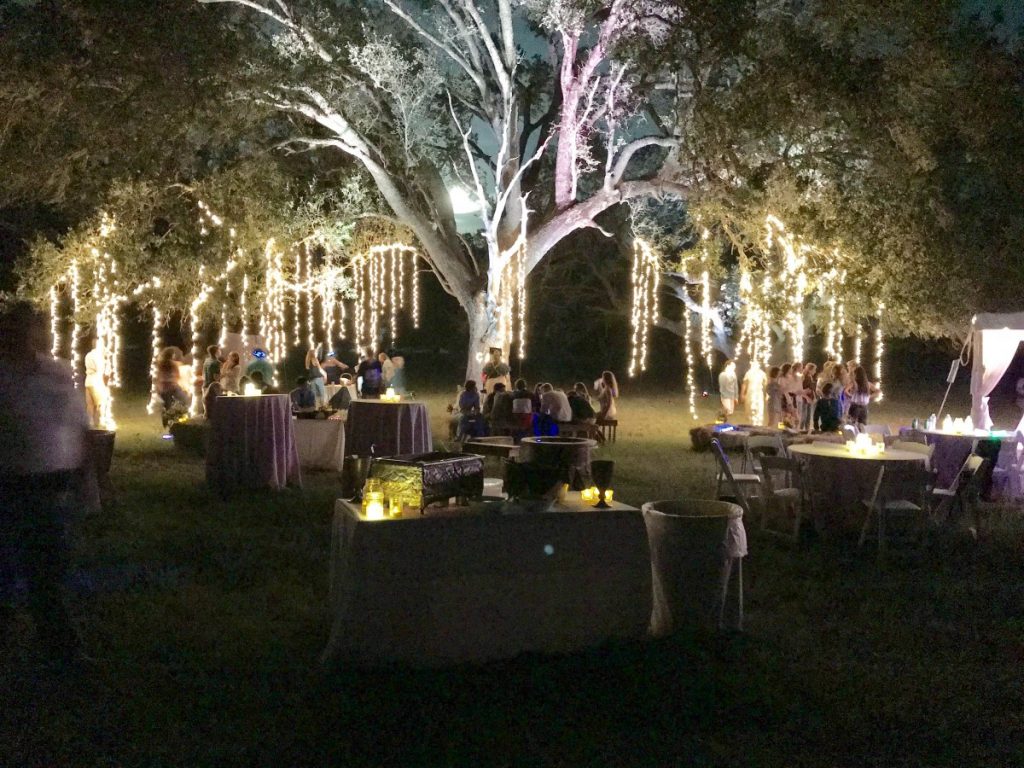 &quot;Weeping Willow&quot; Style Hanging Lighting